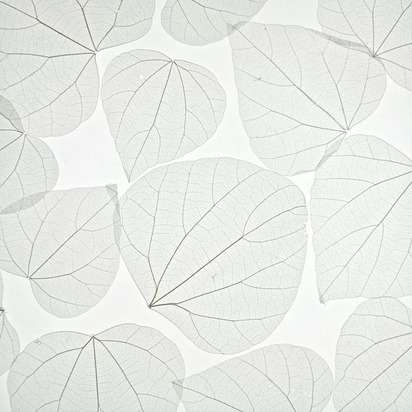 decodeco-nature-spade-leaf