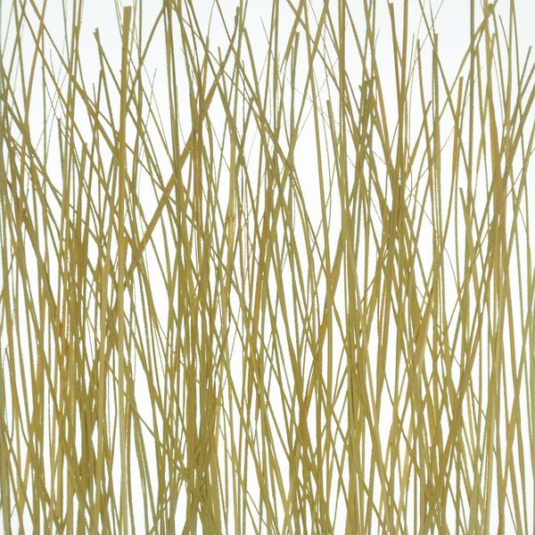 decodeco-nature-wood-grass